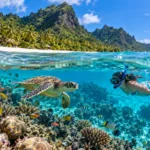 Best Places to Snorkel Top Destinations Worldwide