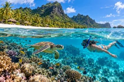Best Places to Snorkel Top Destinations Worldwide